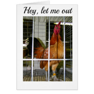 ROOSTER WANT TO SAY HIS BIRTHDAY WISHES TO YOU!