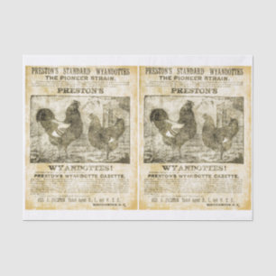 Rooster Wanted (double images) Tissue Paper