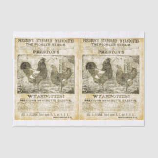 Rooster Wanted (double images) Tissue Paper