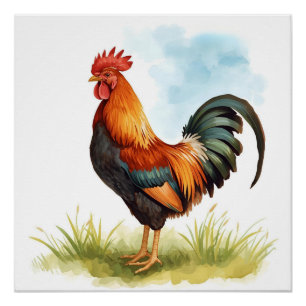 Rooster Watercolor Poster