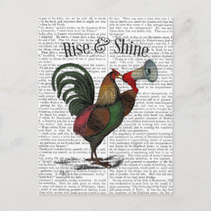 Rooster With Loudhailer 2 Postcard