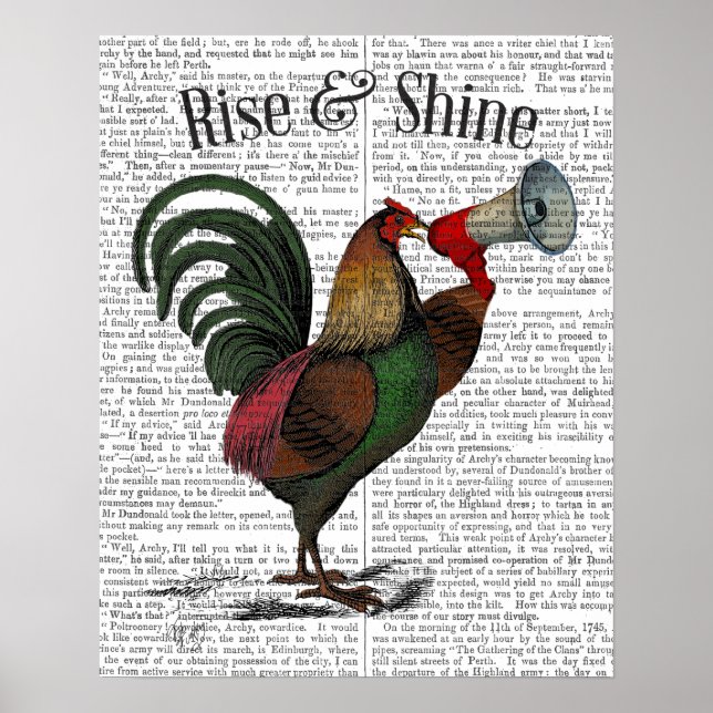Rooster With Loudhailer Poster (Front)