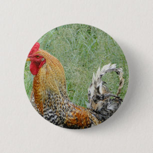 Roosters 6 Cm Round Badge
