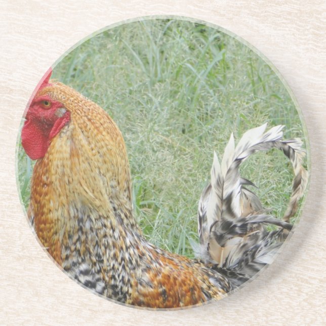 Roosters Coaster (Front)