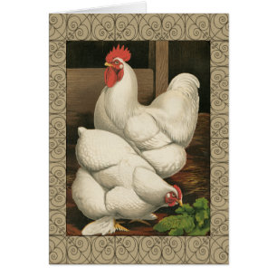Roosters & Hen outside Hen House with White Border