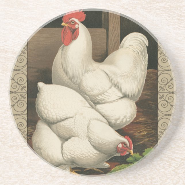Roosters & Hen outside Hen House with White Border Coaster (Front)