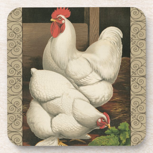 Roosters & Hen outside Hen House with White Border Coaster (Front)