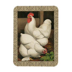 Roosters & Hen outside Hen House with White Border Magnet