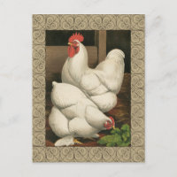 Roosters & Hen outside Hen House with White Border