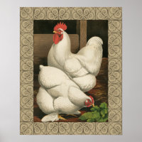 Roosters & Hen outside Hen House with White Border