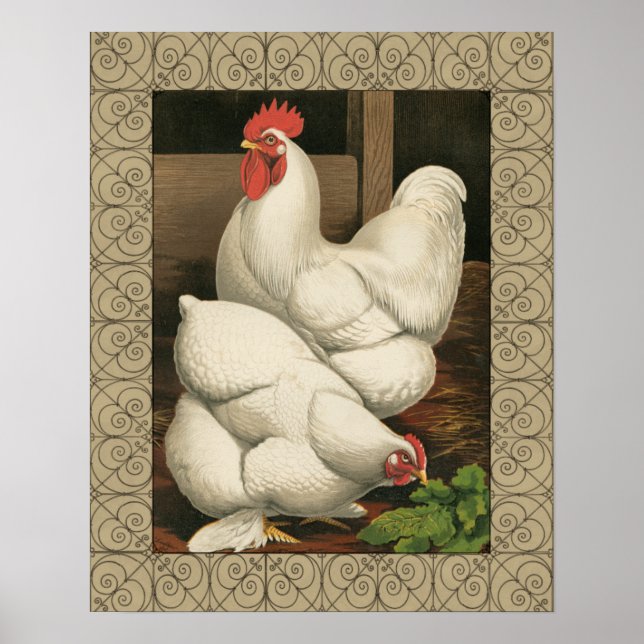 Roosters & Hen outside Hen House with White Border Poster (Front)