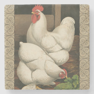 Roosters & Hen outside Hen House with White Border Stone Coaster