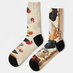 Roosters in a row socks