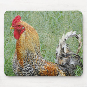 Roosters Mouse Mat