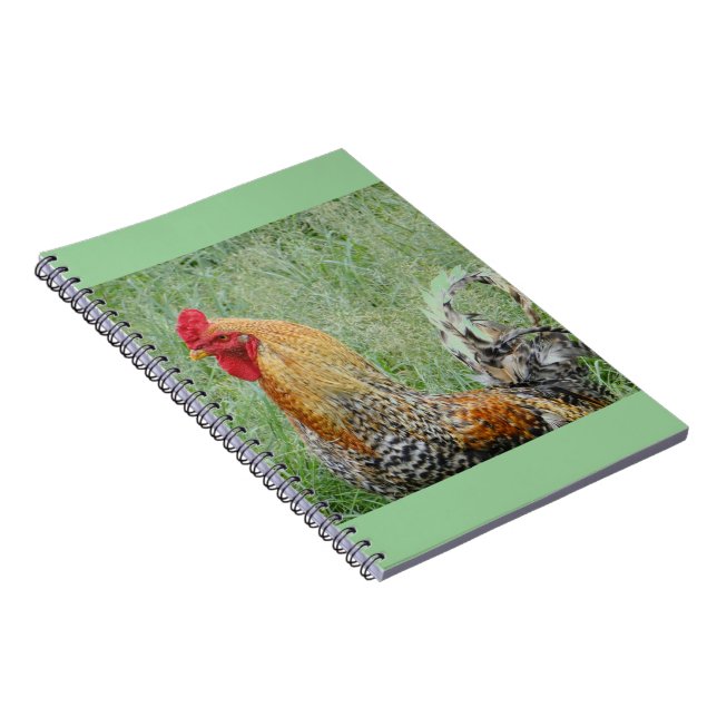 Roosters Notebook (Right Side)