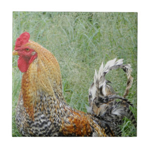 Roosters Tile