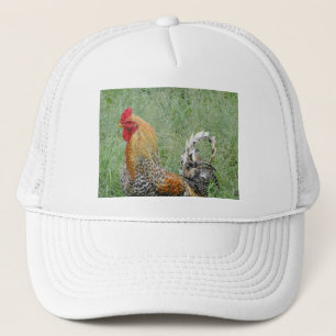 Roosters Trucker Hat