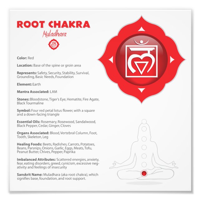 Root Chakra Poster (Front)