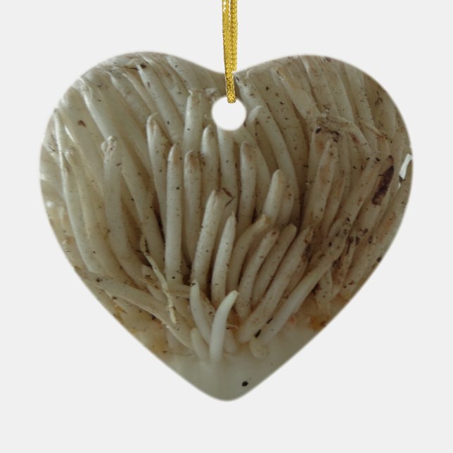 Root of Leek, Vegetables, Healthy Raw White Food Ceramic Tree Decoration (Front)