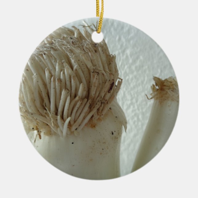 Root of Leek, Vegetables, Healthy Raw White Food Ceramic Tree Decoration (Front)
