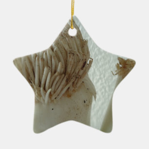 Root of Leek, Vegetables, Healthy Raw White Food Ceramic Tree Decoration