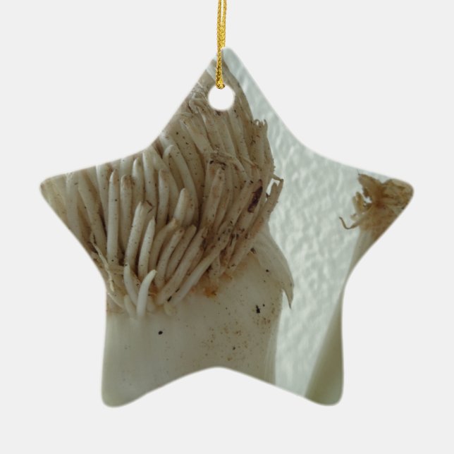 Root of Leek, Vegetables, Healthy Raw White Food Ceramic Tree Decoration (Front)