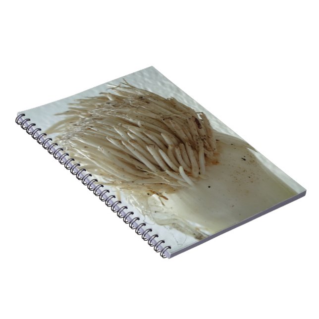 Root of Leek, Vegetables, Healthy Raw White Food Notebook (Right Side)