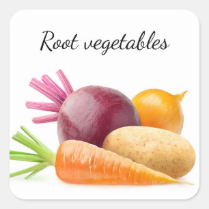 Root vegetables square sticker