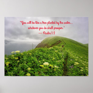 Rooted in Blessings Poster