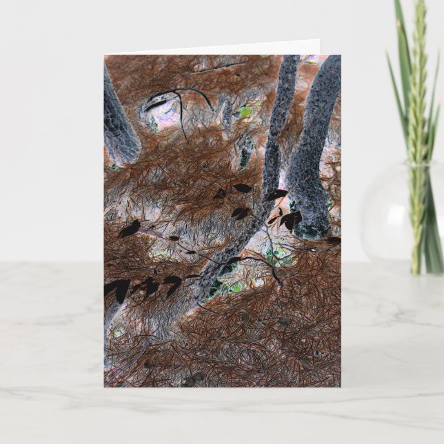 "Roots" Gnarled Trees, Pine Needles, Forest Floor Card (Front)