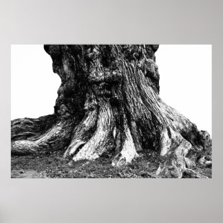 Roots Poster