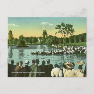 Rope Pull, Campus Pond Postcard