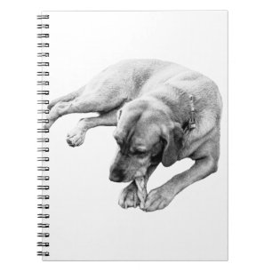 Rope & Reflection Notebook