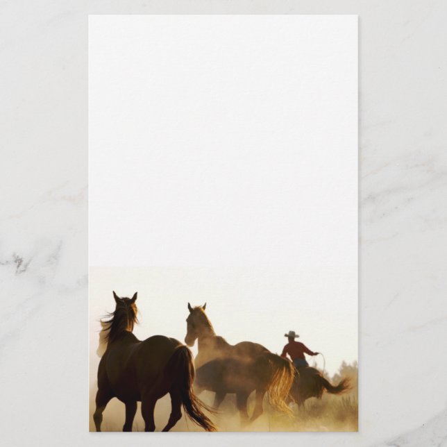 roping cowboy stationary stationery (Front)