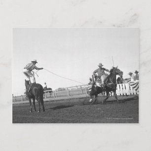 Roping horse postcard