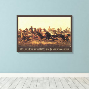 Roping Wild Horses by James Walker Canvas Print