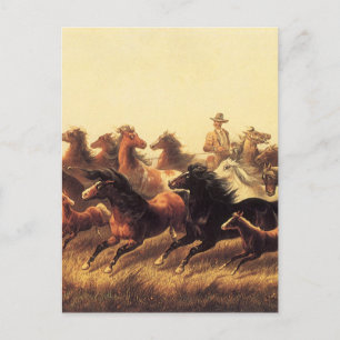 Roping Wild Horses by James Walker Postcard