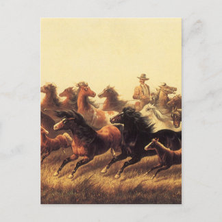 Roping Wild Horses by James Walker Postcard