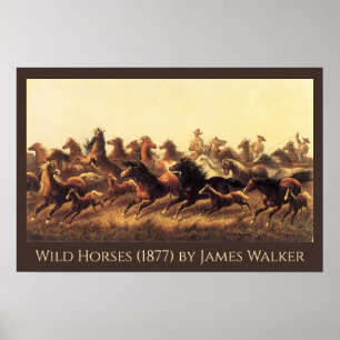 Roping Wild Horses by James Walker Poster