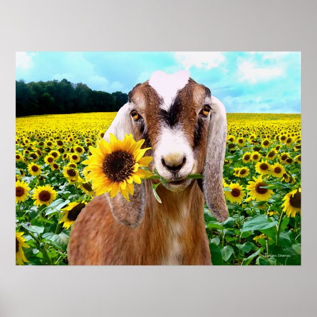 "Rory" Poster (Front)