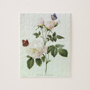 Rosa: Bengale the Hymenes, from 'Les Roses' Jigsaw Puzzle