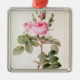 Rosa Bifera Officinalis, from 'Les Roses' Metal Tree Decoration
