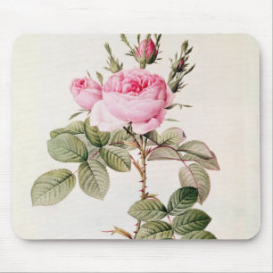 Rosa Bifera Officinalis, from 'Les Roses' Mouse Mat