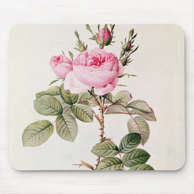 Rosa Bifera Officinalis, from 'Les Roses' Mouse Mat (Front)