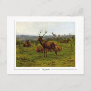 Rosa Bonheur #122 - Fine Art Postcard