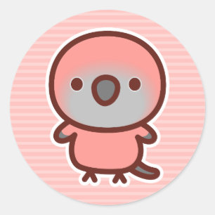 Rosa Bourke's parrot Classic Round Sticker