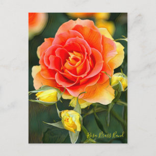 Rosa Brass Band [Postcard] Postcard