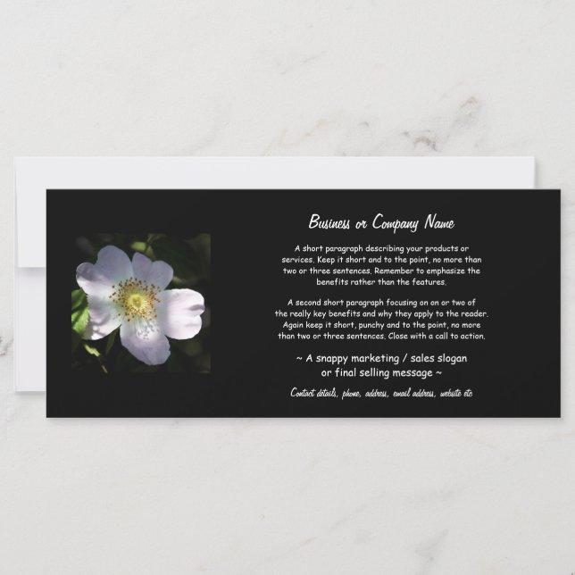 Rosa Canina - Dog Rose (Front)