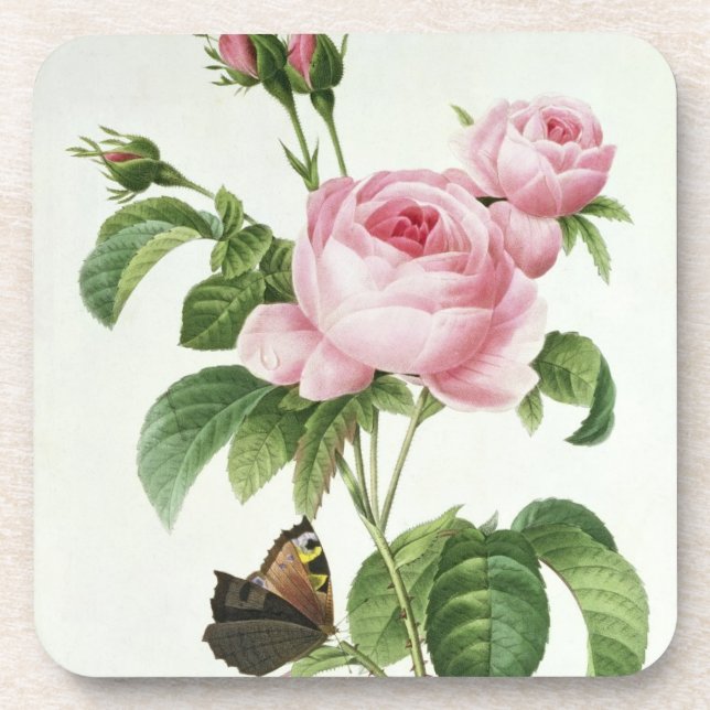 Rosa Centifolia Coaster (Front)