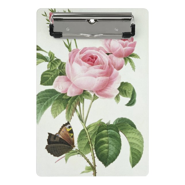 Rosa Centifolia Mini Clipboard (Front)
